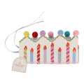 Birthday Wishes Reusable Pom Pom Crown